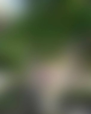 Renklerin soyut bulanık arkaplanı