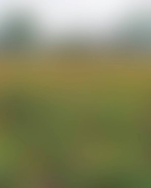 Renklerin soyut bulanık arkaplanı