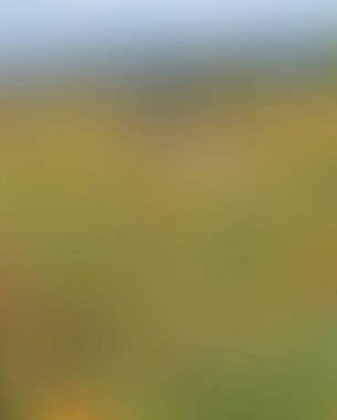 Renklerin soyut bulanık arkaplanı