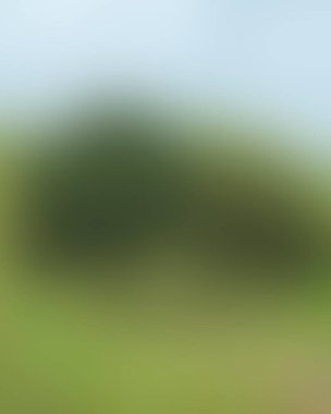 Renklerin soyut bulanık arkaplanı