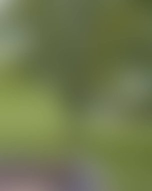 Renklerin soyut bulanık arkaplanı