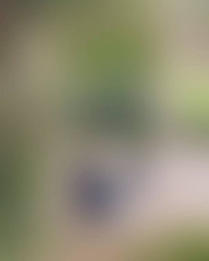 Renklerin soyut bulanık arkaplanı