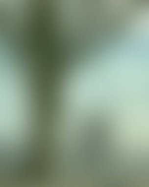 Renklerin soyut bulanık arkaplanı