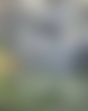 Renklerin soyut bulanık arkaplanı