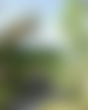 Renklerin soyut bulanık arkaplanı