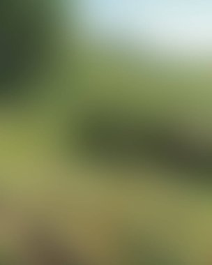 Renklerin soyut bulanık arkaplanı