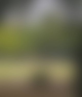 Renklerin soyut bulanık arkaplanı