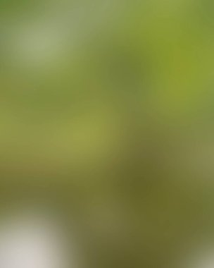 Renklerin soyut bulanık arkaplanı