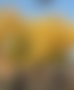 Renklerin soyut bulanık arkaplanı