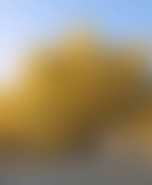 Renklerin soyut bulanık arkaplanı