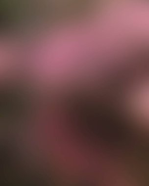 Renklerin soyut bulanık arkaplanı