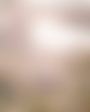 Renklerin soyut bulanık arkaplanı