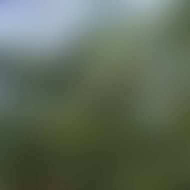 Renklerin soyut bulanık arkaplanı