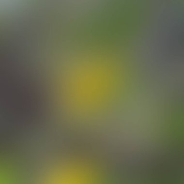 Renklerin soyut bulanık arkaplanı