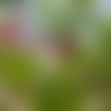 Renklerin soyut bulanık arkaplanı