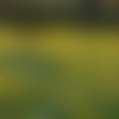 Renklerin soyut bulanık arkaplanı