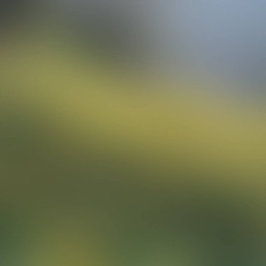 Renklerin soyut bulanık arkaplanı