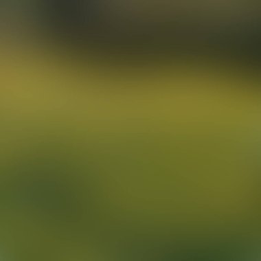 Renklerin soyut bulanık arkaplanı