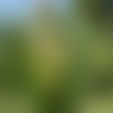 Renklerin soyut bulanık arkaplanı