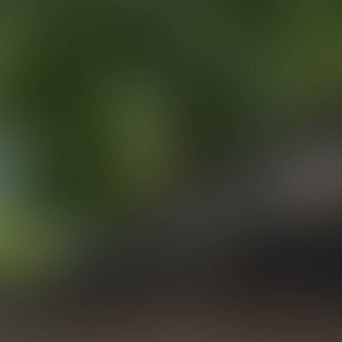 Renklerin soyut bulanık arkaplanı