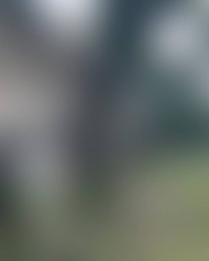 Renklerin soyut bulanık arkaplanı