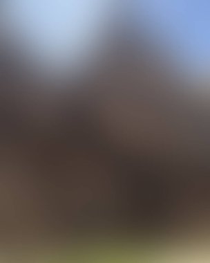 Renklerin soyut bulanık arkaplanı