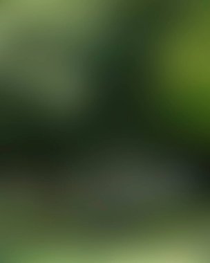 Renklerin soyut bulanık arkaplanı