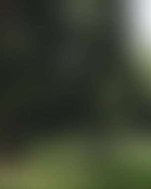 Renklerin soyut bulanık arkaplanı