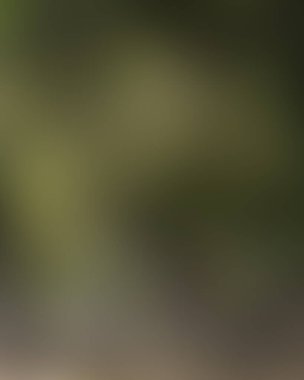 Renklerin soyut bulanık arkaplanı