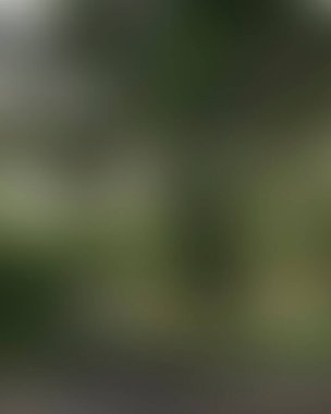 Renklerin soyut bulanık arkaplanı