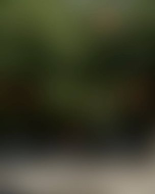 Renklerin soyut bulanık arkaplanı