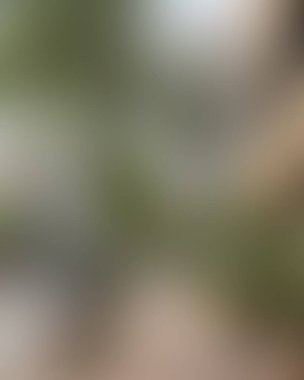 Renklerin soyut bulanık arkaplanı