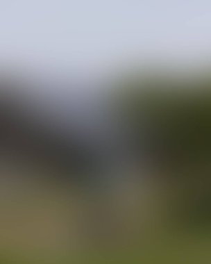 Renklerin soyut bulanık arkaplanı