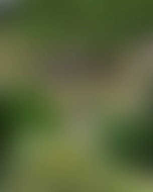 Renklerin soyut bulanık arkaplanı