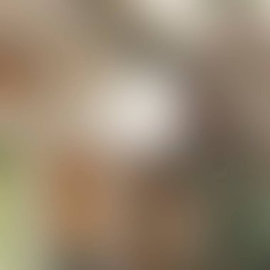 Renklerin soyut bulanık arkaplanı