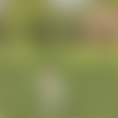 Renklerin soyut bulanık arkaplanı