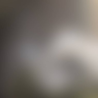 Renklerin soyut bulanık arkaplanı