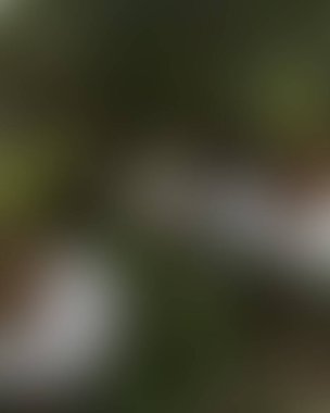 Renklerin soyut bulanık arkaplanı