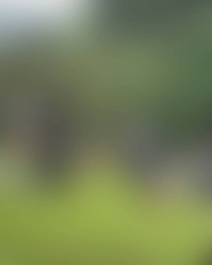 Renklerin soyut bulanık arkaplanı