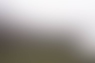 Renklerin soyut bulanık arkaplanı