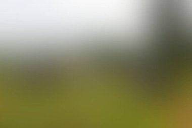 Renklerin soyut bulanık arkaplanı