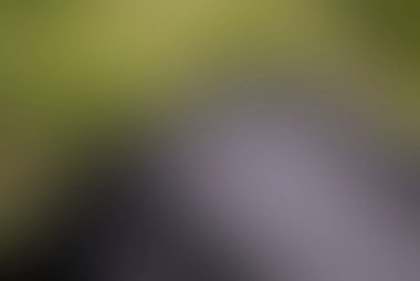 Renklerin soyut bulanık arkaplanı