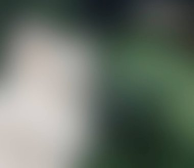 Renklerin soyut bulanık arkaplanı