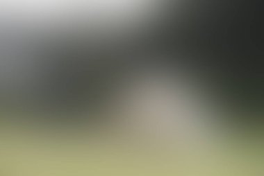 Renklerin soyut bulanık arkaplanı