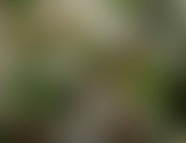 Renklerin soyut bulanık arkaplanı