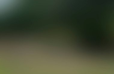 Renklerin soyut bulanık arkaplanı