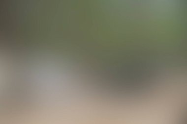 Renklerin soyut bulanık arkaplanı