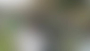 Renklerin soyut bulanık arkaplanı