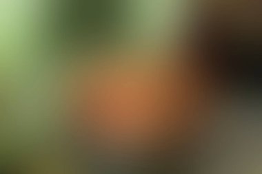 Renklerin soyut bulanık arkaplanı