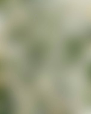 Renklerin soyut bulanık arkaplanı